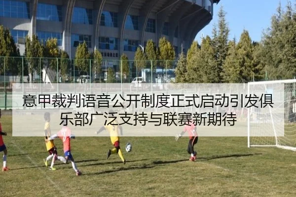 意甲裁判语音公开制度正式启动引发俱乐部广泛支持与联赛新期待